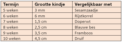 Grootte kindje